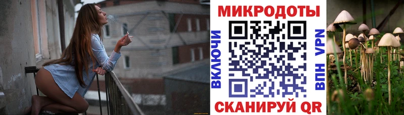 мориарти состав  где можно купить наркотик  Полярные Зори  Псилоцибиновые грибы Psilocybine cubensis 