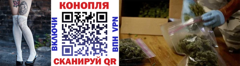 Каннабис семена  darknet клад  Полярные Зори 